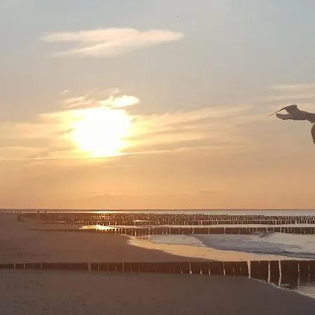 Ostseesternchen Zempin Esterno foto