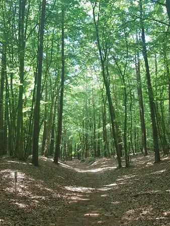 Ostseesternchen Zempin Esterno foto