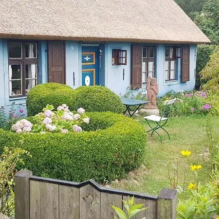 Ostseesternchen Zempin Esterno foto